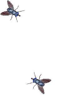 Detail Kartun Lalat Lucu Nomer 34