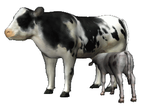 Detail Kartun Sapi Nomer 34