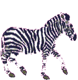 Detail Kartun Zebra Nomer 9