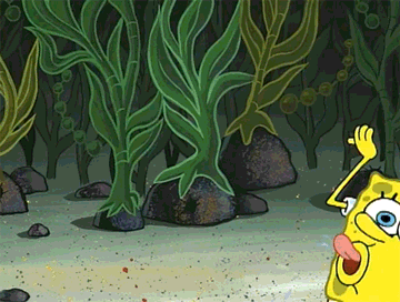 Detail Kata Kata Lucu Kartun Spongebob Nomer 33