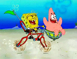 Detail Kata Kata Lucu Kartun Spongebob Nomer 43