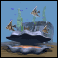 Detail Kerang Laut Kartun Nomer 6