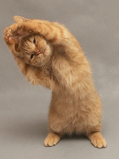 Detail Kucing Lucu Animasi Nomer 23