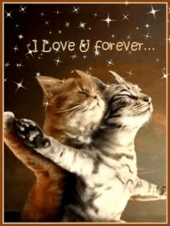 Detail Kucing Lucu Animasi Nomer 29
