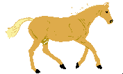 Detail Kuda Delman Kartun Nomer 10