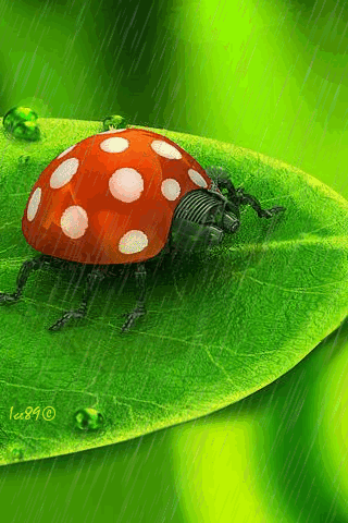 Detail Kumbang Animasi Nomer 30