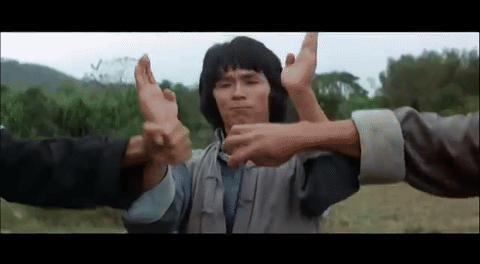 Detail Kung Fu Animated Gif Nomer 18