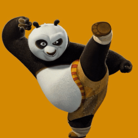 Detail Kung Fu Animated Gif Nomer 3