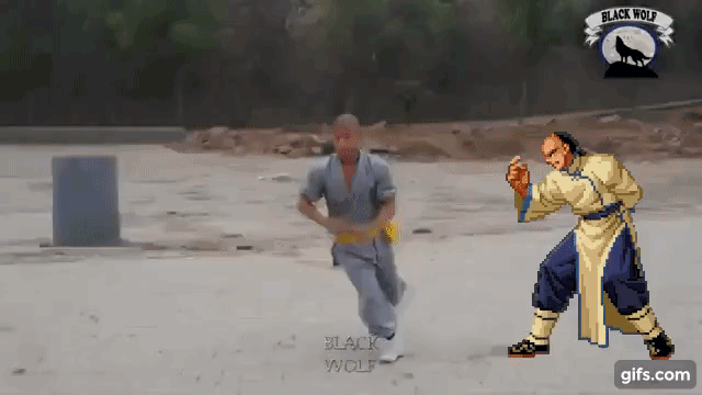 Detail Kung Fu Animated Gif Nomer 21