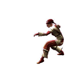 Detail Kung Fu Animated Gif Nomer 28