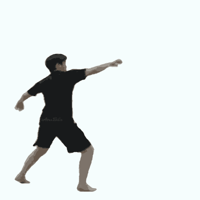 Detail Kung Fu Animated Gif Nomer 5