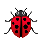 Detail Ladybug Kartun Nomer 26