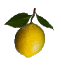 Detail Lemon Kartun Nomer 8