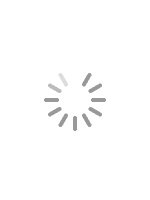 Detail Loading Sign Gif Nomer 19