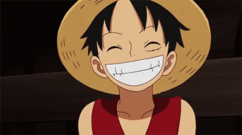 Detail Luffy Gif Nomer 33