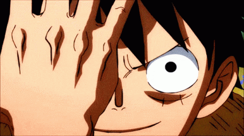 Detail Luffy Gif Nomer 5