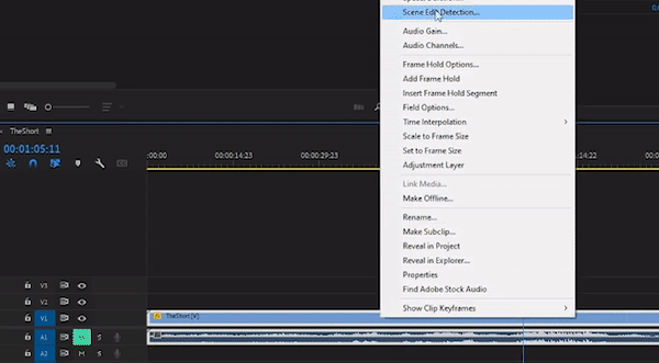 Detail Make Gif In Premiere Nomer 27