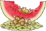 Melon Animasi - KibrisPDR