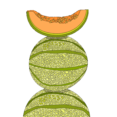 Detail Melon Animasi Nomer 14