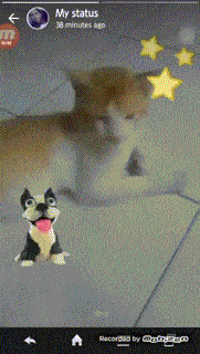 Detail Membuat Gif Wa Nomer 6