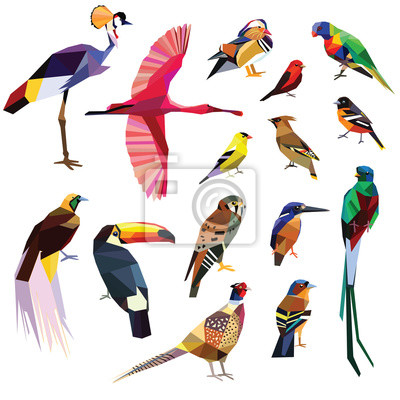 Detail Bunter Paradiesvogel Nomer 9