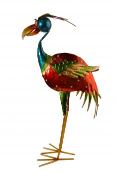 Detail Bunter Paradiesvogel Nomer 11