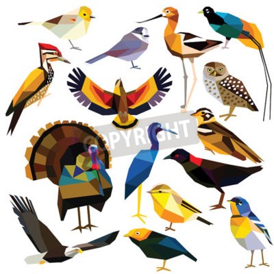Detail Bunter Paradiesvogel Nomer 14
