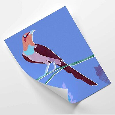 Detail Bunter Paradiesvogel Nomer 15