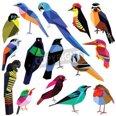 Detail Bunter Paradiesvogel Nomer 20