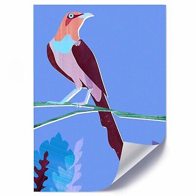 Detail Bunter Paradiesvogel Nomer 4