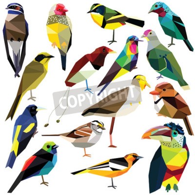 Detail Bunter Paradiesvogel Nomer 5