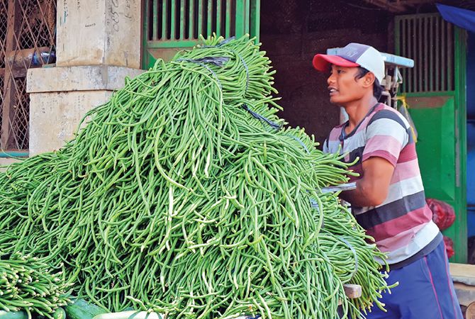 Detail Foto Kacang Panjang Nomer 14