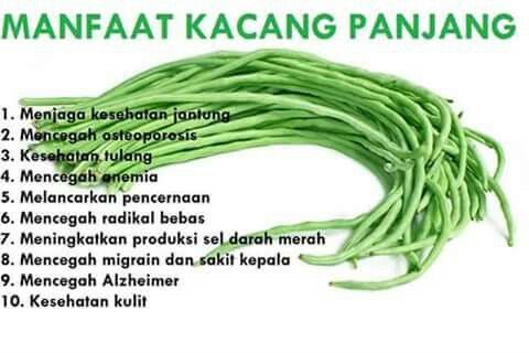 Detail Foto Kacang Panjang Nomer 19