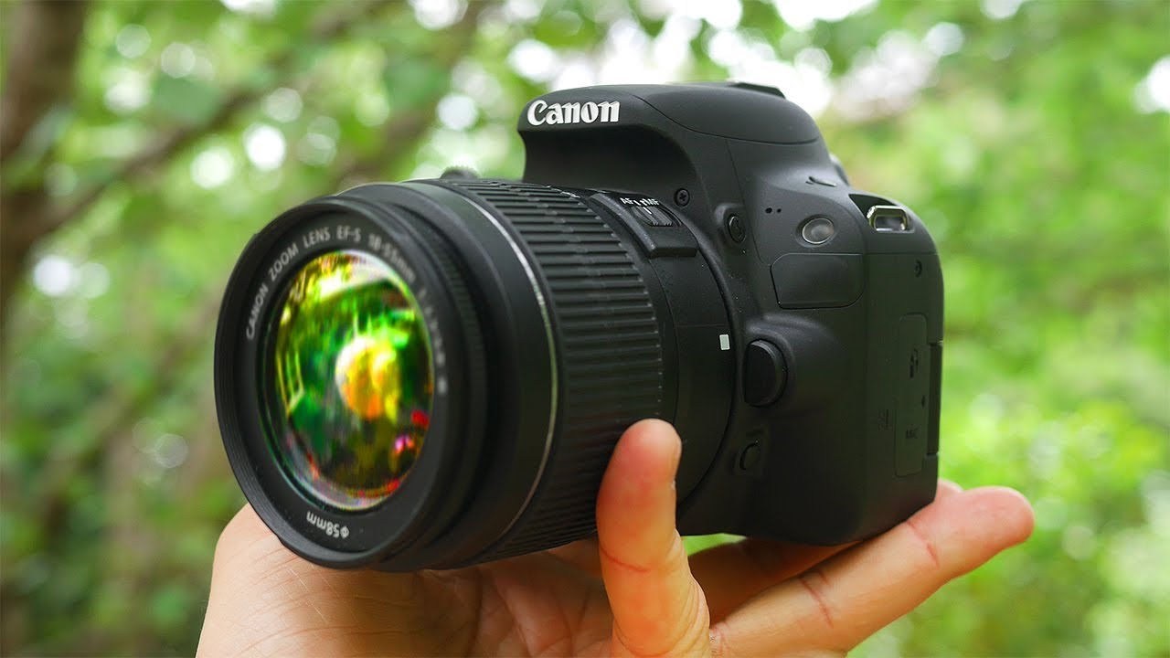 Detail Foto Kamera Dslr Nomer 7