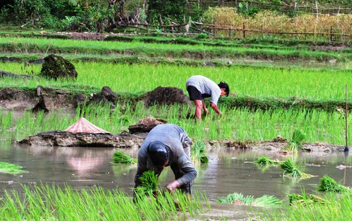 Detail Foto Kampung Halaman Nomer 23