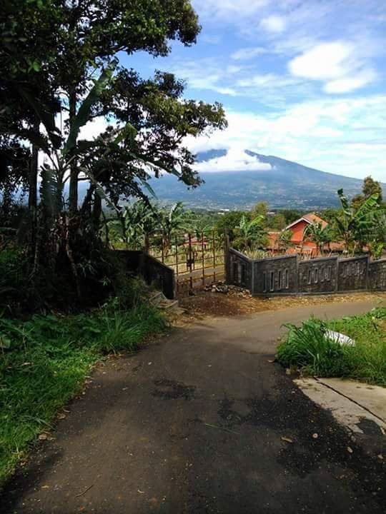 Detail Foto Kampung Halaman Nomer 6