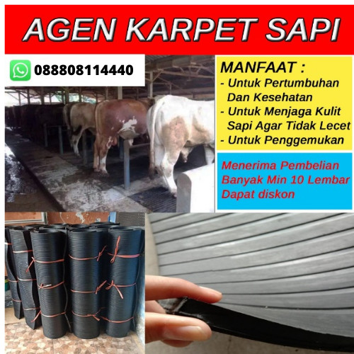 Detail Foto Kandang Sapi Nomer 35