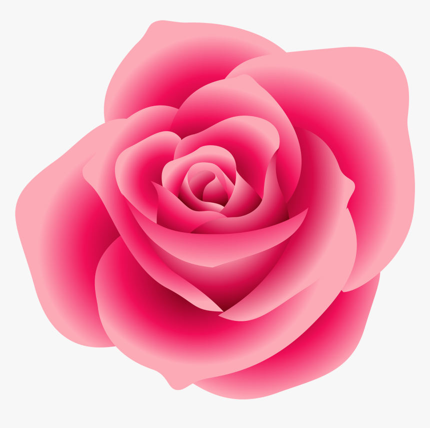 Rosa Background - KibrisPDR