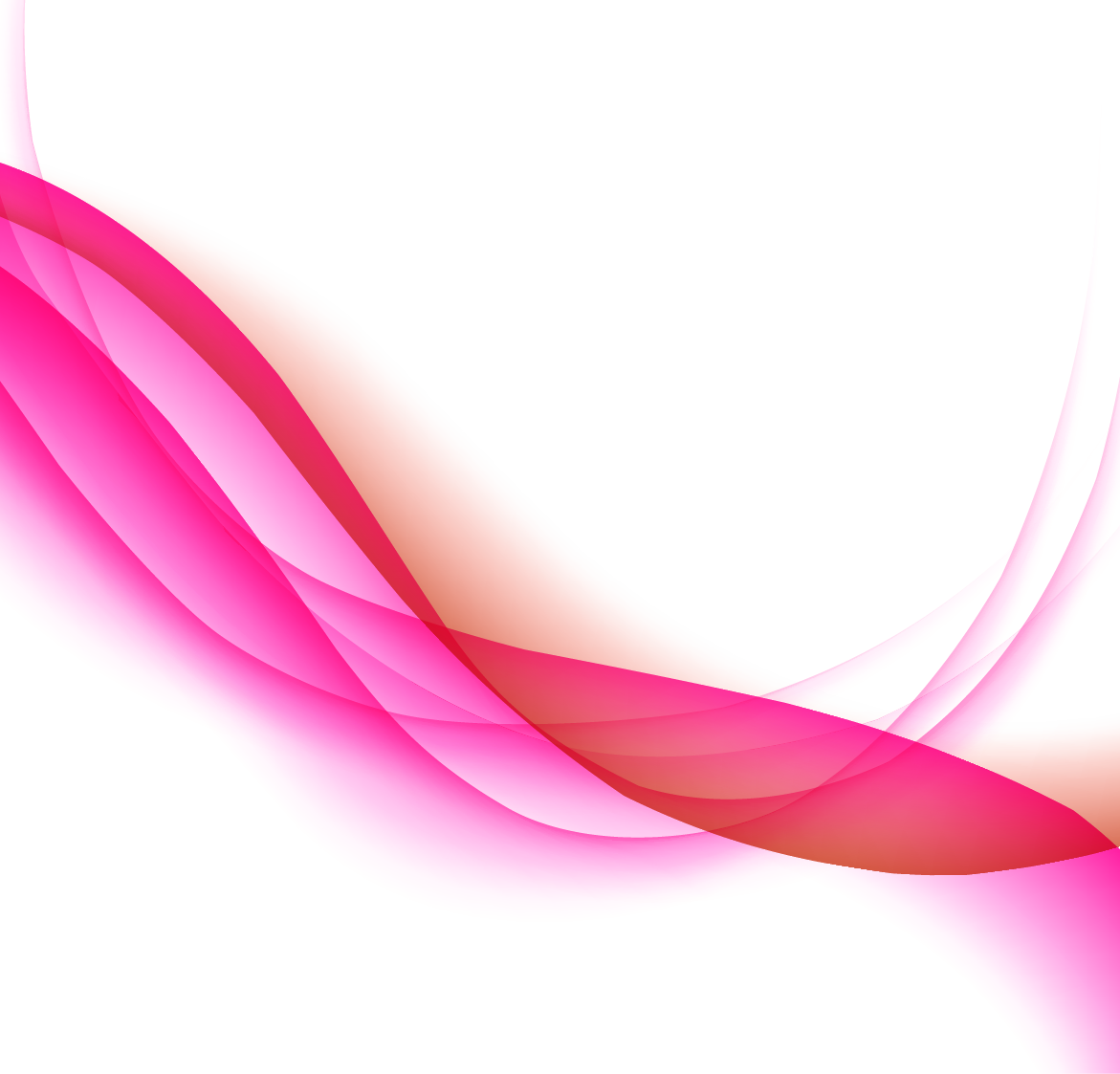 Detail Rosa Background Nomer 21