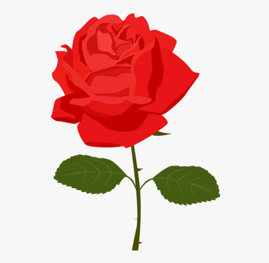 Detail Rosa Background Nomer 4