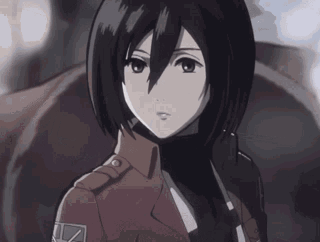 Detail Mikasa Gif Nomer 16