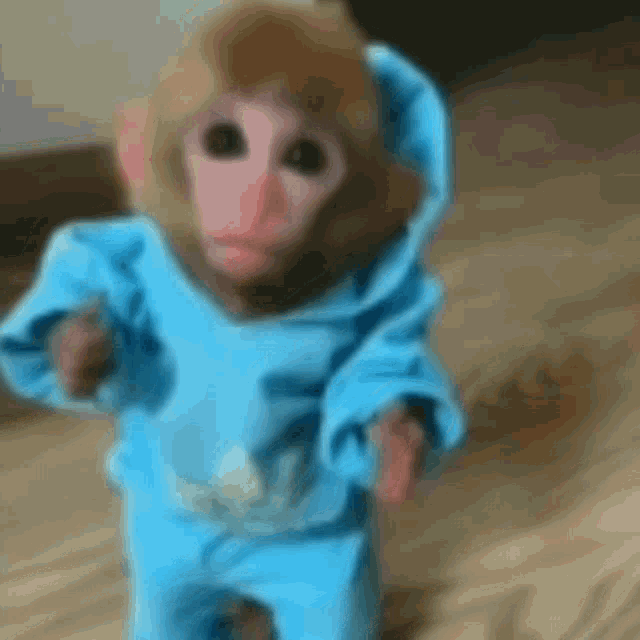 Detail Monkey Gif Nomer 5