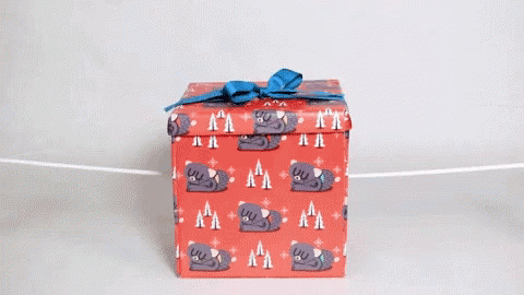 Detail Opening Present Gif Nomer 48