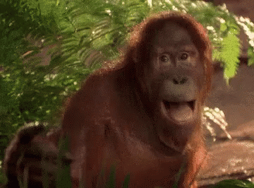 Detail Orang Utan Animasi Nomer 14
