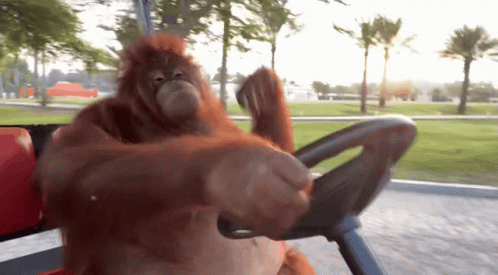 Detail Orang Utan Animasi Nomer 24