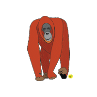Detail Orang Utan Animasi Nomer 31