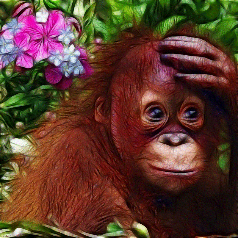 Detail Orang Utan Animasi Nomer 38