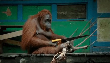 Detail Orang Utan Animasi Nomer 39