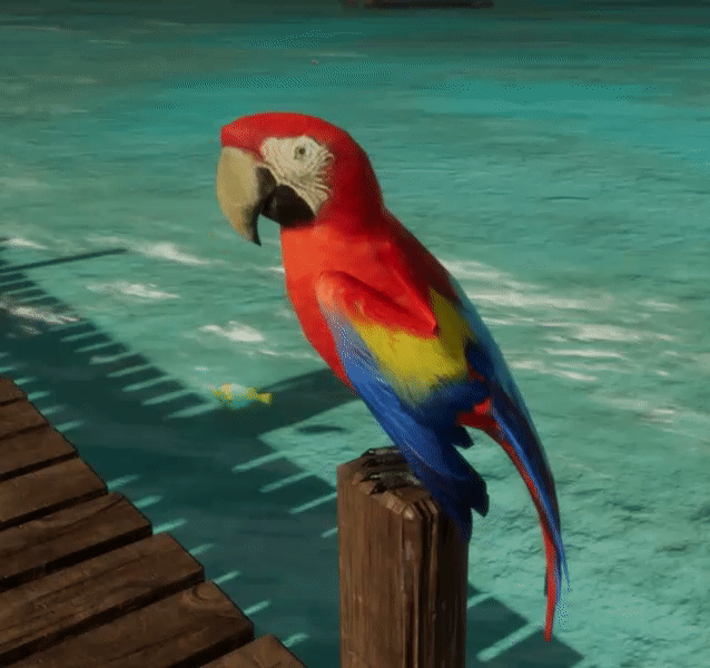 Detail Parrot Animated Gif Nomer 20