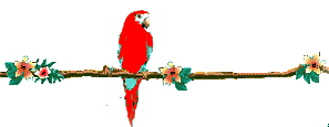 Detail Parrot Animated Gif Nomer 35